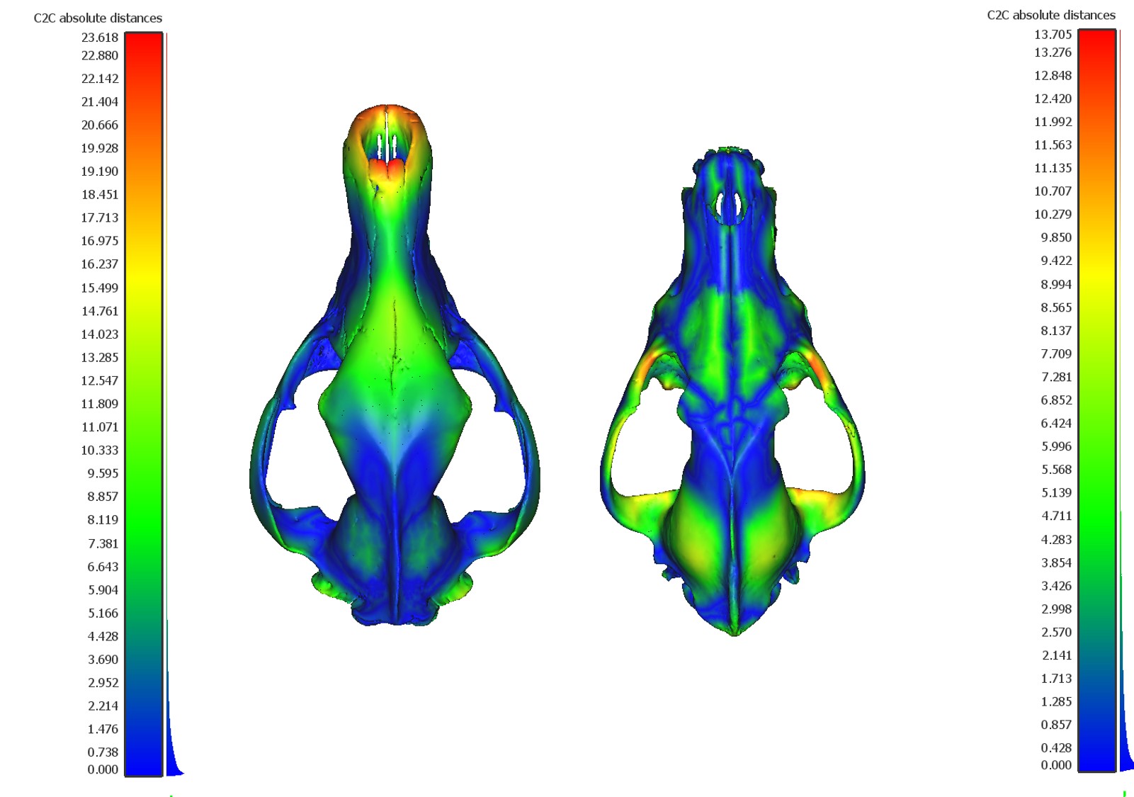 Adult skull scalar fields.jpg