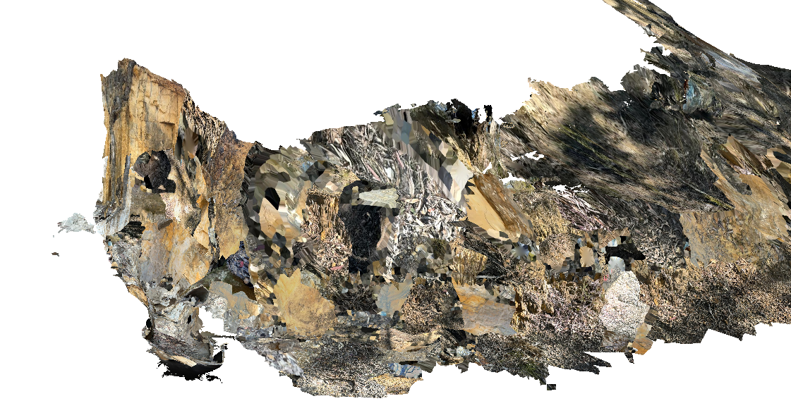 Fig1.png